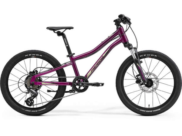 MERIDA 2022 MATTS J.20  fialový(čierny/šampan)