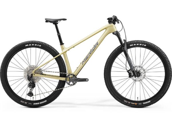 MERIDA BIG.NINE TR 5000 matná šampanská (modrý/čierny)